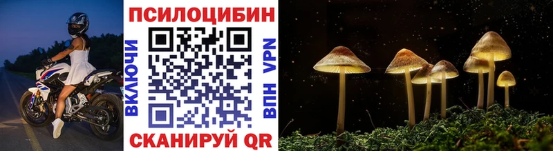 блэк спрут ТОР  что такое   Кемерово  Галлюциногенные грибы ЛСД 